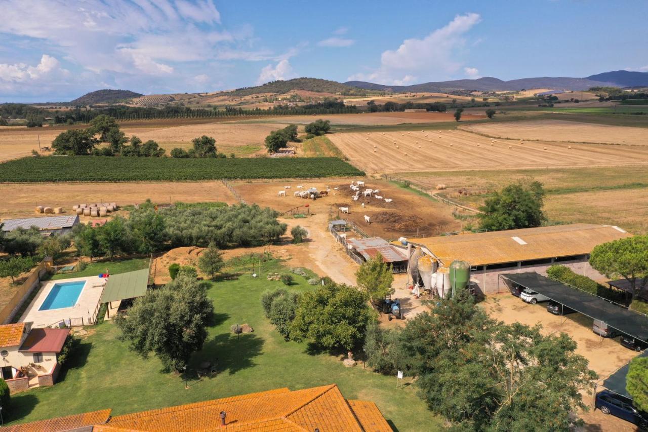 Agriturismo Al Girasole San Donato  Ngoại thất bức ảnh
