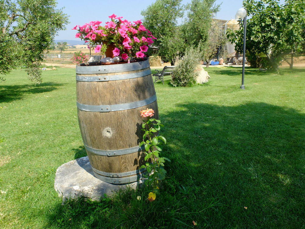 Agriturismo Al Girasole San Donato  Ngoại thất bức ảnh